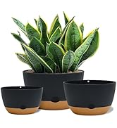Amazon.com: Koalaime 8/10/12 Inch Pots for Indoor Plants, Large